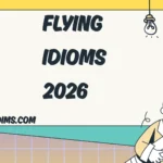 flying idioms